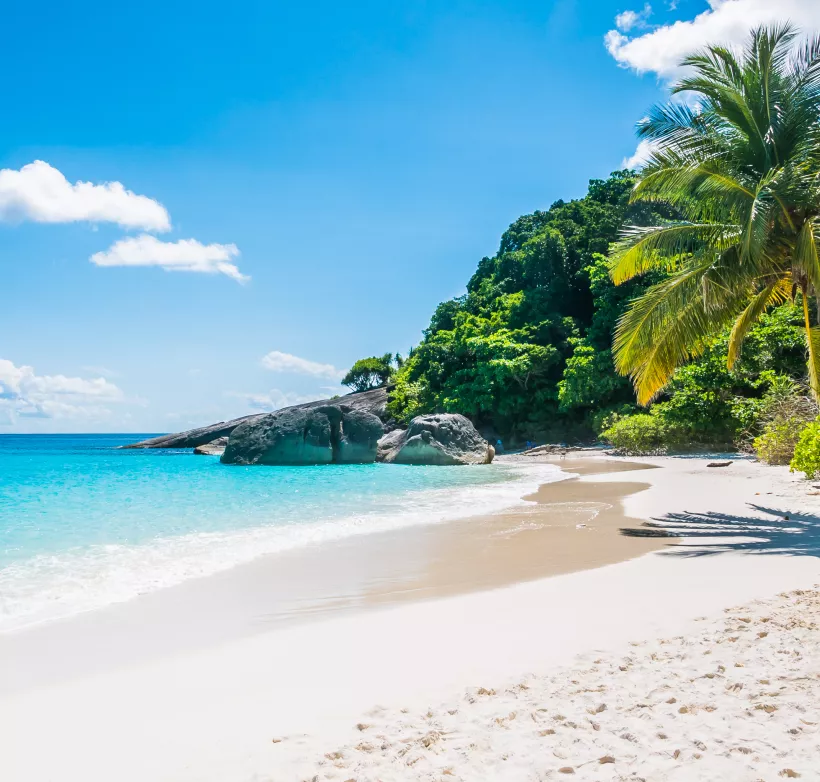 Smart Travel Tips for Curious Explorers